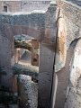 Roman Forum - Palantino-31
